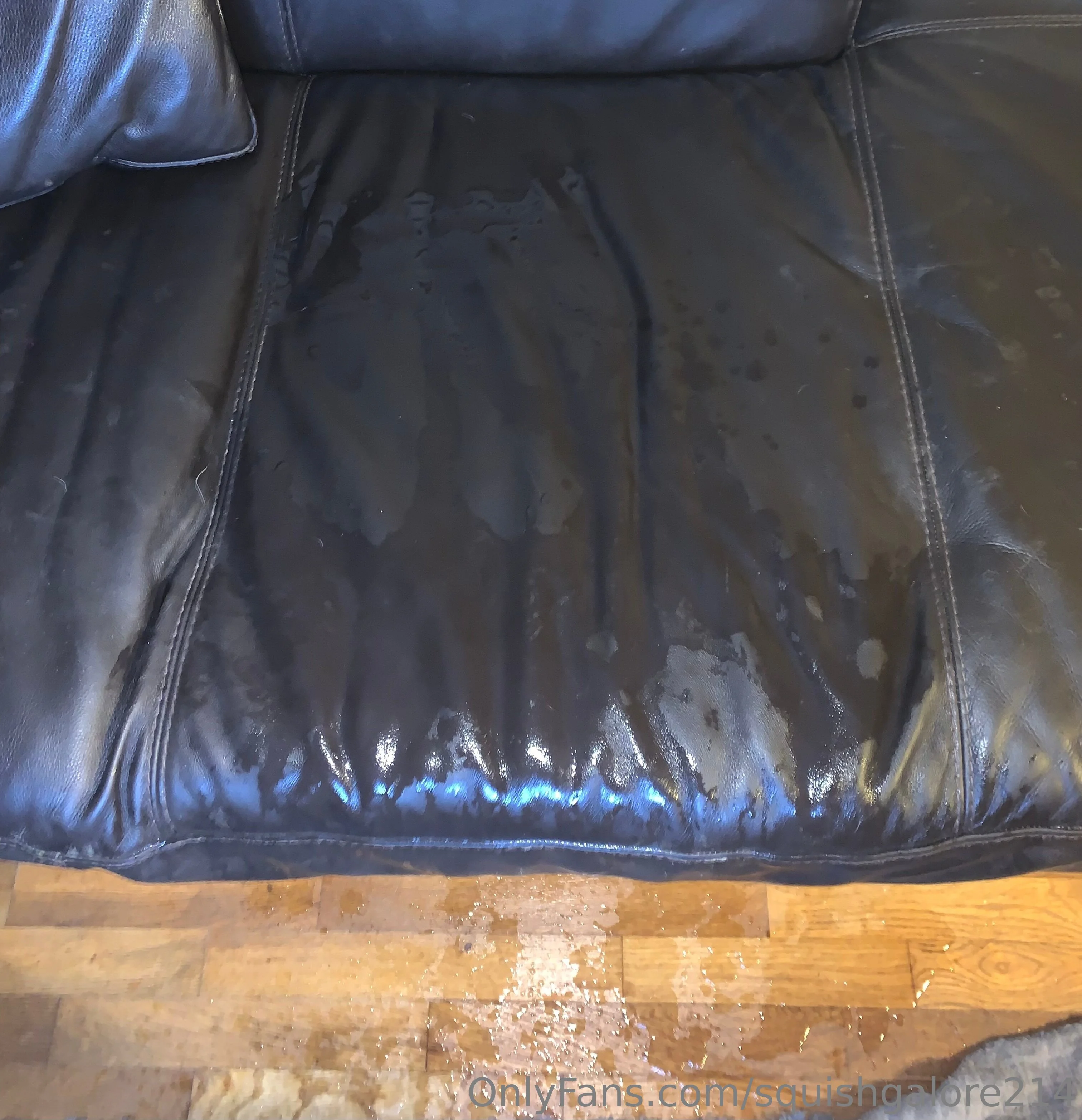 ✨🖤squishgalore🖤✨